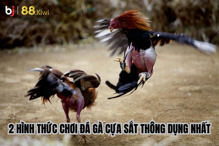 2 hình thức chơi đá gà cựa sắt thông dụng nhất