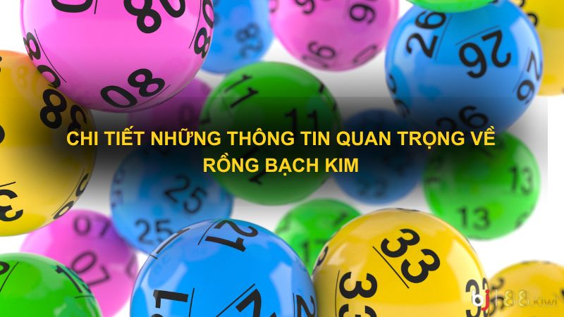 Chi tiết những thông tin quan trọng về rồng bạch kim