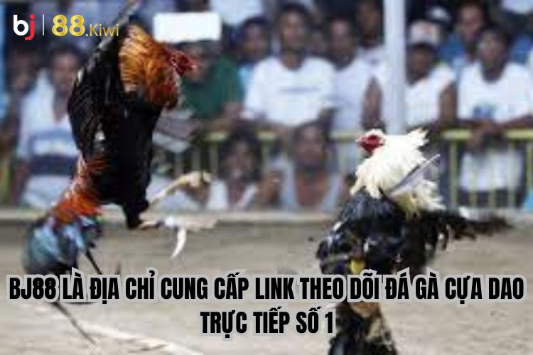 BJ88 là địa chỉ cung cấp link theo dõi đá gà cựa dao trực tiếp số 1