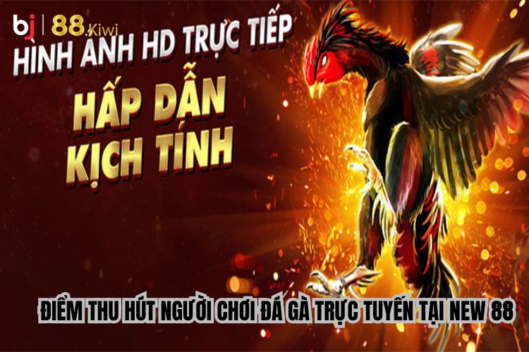 Điểm thu hút người chơi Đá gà trực tiếp tại new88