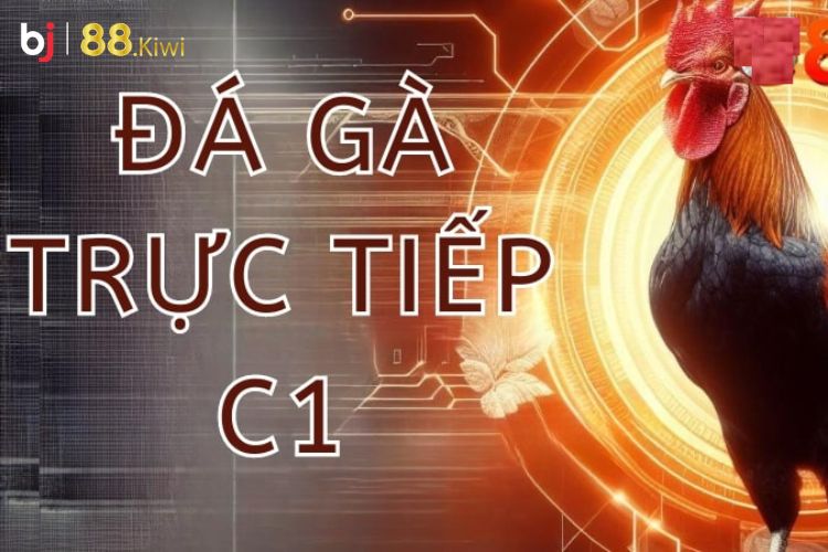 Giải đáp thắc mắc về Đá gà C1 tại nhà cái Bj88