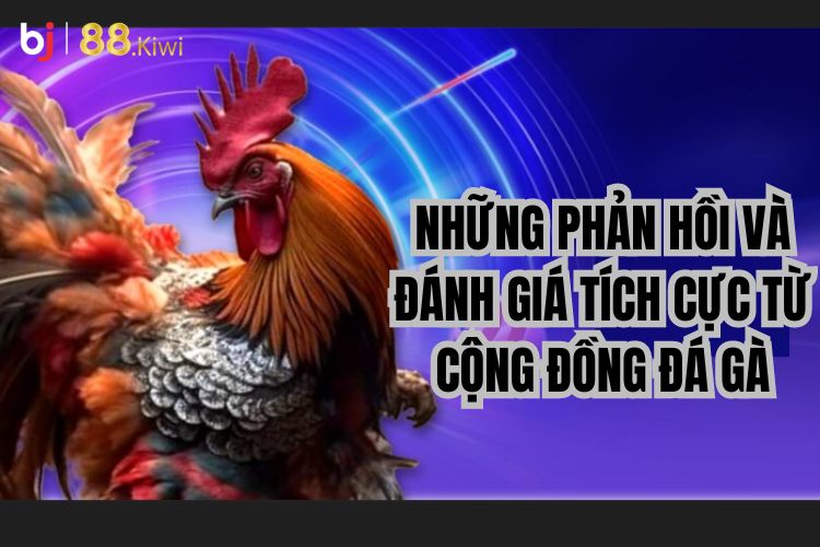 Những phản hồi và đánh giá tích cực từ cộng đồng đá gà