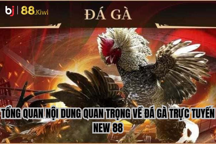 Tổng quan nội dung quan trọng về đá gà trực tiếp New88